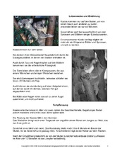 Koala-Steckbrief-Seite-2.pdf